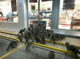 Продолжение фильма "Нападение на 13 участок"