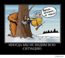 Месть за сбитую собаку