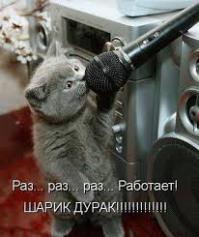 Фотоподборка за 20.11.2014 