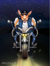 Фотоподборка за 22.12.2014