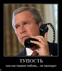 Кругом дураки