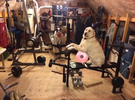 А мы тут с Шариком плюшками балуемся!