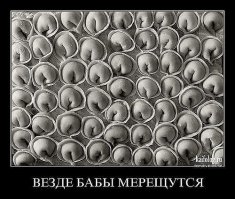 Фотоподборка за 14.05.2015