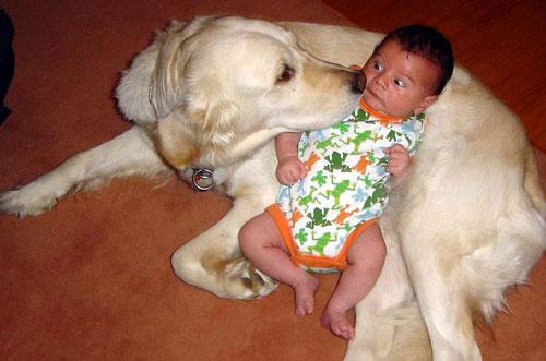 Мальчик и пес