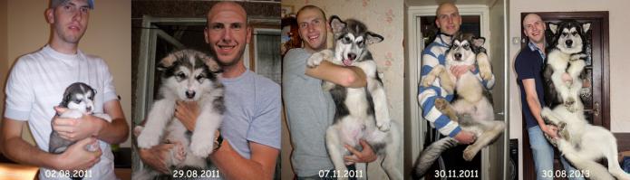 Друзья, которые растут вместе с нами