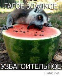 15 хитрых приемов в психологии, которые полезно знать каждому