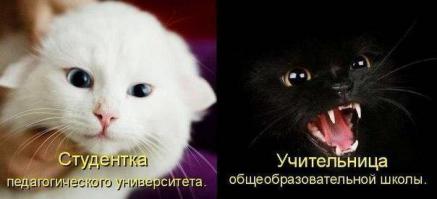 Не мог не добавить :)
Всех учителей с профессиональным праздником! :)