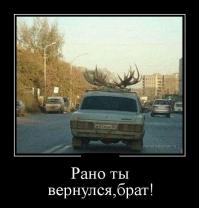 Как охота влияла на стоны Светы