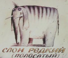 Слон редкий, полосатый, кличка Балдахин… Характер мягкий, добрый…»  «Много лет содержался в клетке у иностранного торговца животными Карбофоса; не выдержав побоев и бедствий, сбежал. Долгое время скитался, и однажды, больной и голодный, пришёл к нам. Пограничники выходили слона и подарили нашему зоопарку». Ага, вот: «Особые приметы: очень любит рыбий жир, при звуках флейты теряет волю.