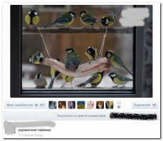 Кусочек сала