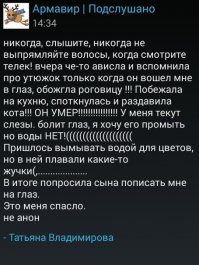 и еще про утюжок для волос