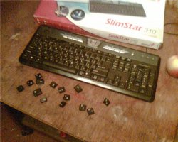 А почему в посте не рассказали о том, как этот ворон живет в квартире: расковыривает стены, отрывает обои, перекусывает провода, отрывает все ручки, кнопки и т.п. Вот фотки этой же птицы в быту: