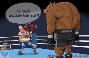 Солянка для Майдана. Часть 36