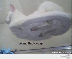  Попросил товарища отсканировать прогулянную лекцию