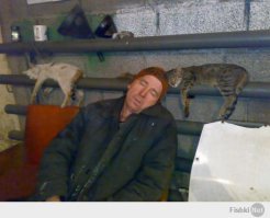 Когда градус валит с ног