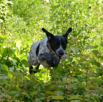 Я со своей также гоняю