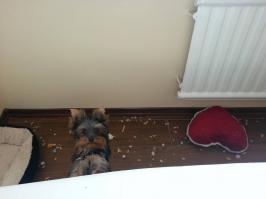 Моя красава)))