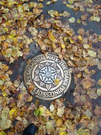 Пара что нашлось под рукой, не все может быть прям совсем "люки". Вот тут хорошая подборка