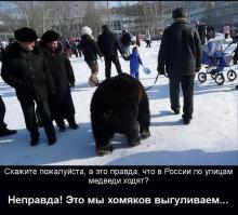 Такое возможно только в России