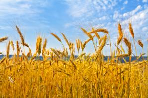 Фотоподборка за 12.08.2014