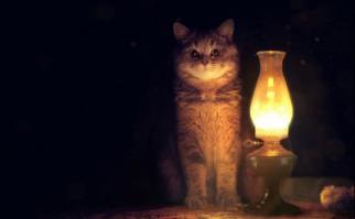 Вот этот кот