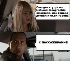  Картинки со смешными подписями