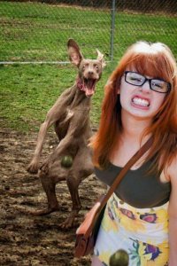 Фотобомбы и фотобомбочки с животными