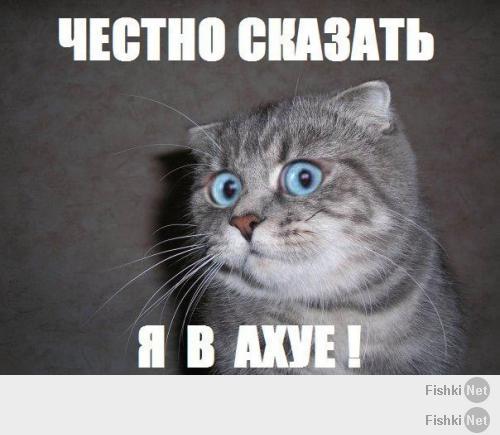 100-пудово, медальщик ***в.