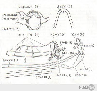 Фишкина солянка за 21.02.2014