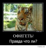 Потрясающие 3D-рисунки карандашом