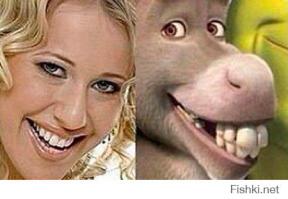 Вестник социальных сетей