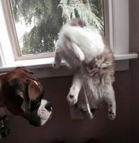 Фишкина солянка за 04.06.2014