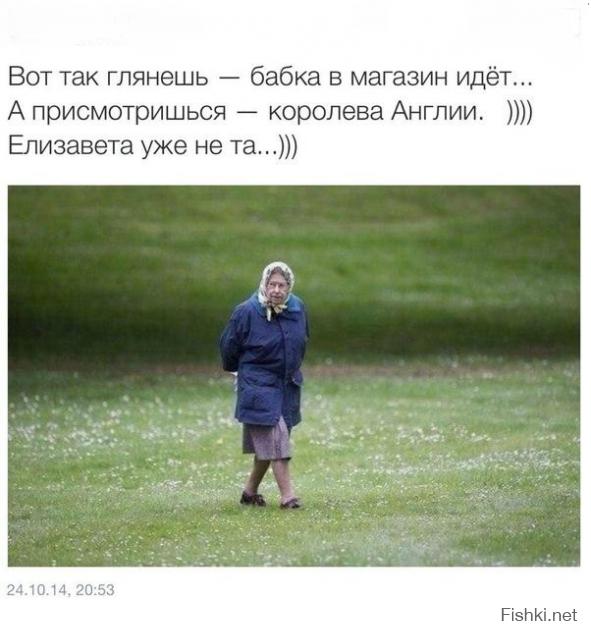 Фишкина солянка за 26.10.2014 г.