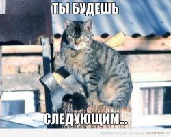 Адские коты, являющиеся истинным воплощением зла