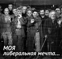 Яценюк: «Гитлер дал волю украинскому народу» 