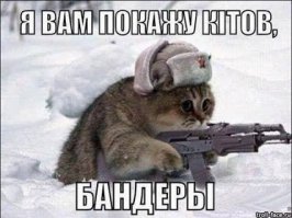 Яценюк: «Гитлер дал волю украинскому народу» 