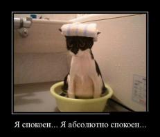 Как компании должны относиться к своим клиентам 