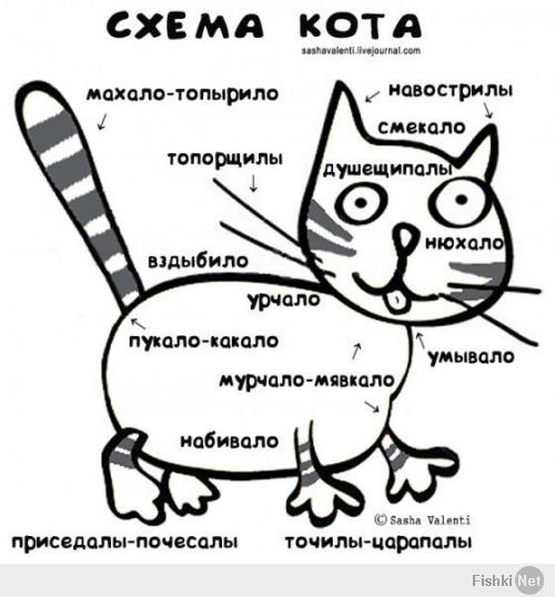 Кото-пост