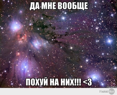 Подборка видео от 10.02.2014