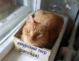 Минимум пятый раз читаю,а за душу берёт! Добрее делает что-ли?