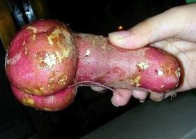 Какое лето,такие и овощи!