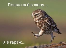 Смешарики & Гараж