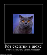 О работе в российской армии