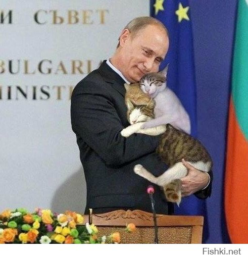 Путин присматривает за кошками,пока Миллер  с Си Цзыньпином подписывает контракты!