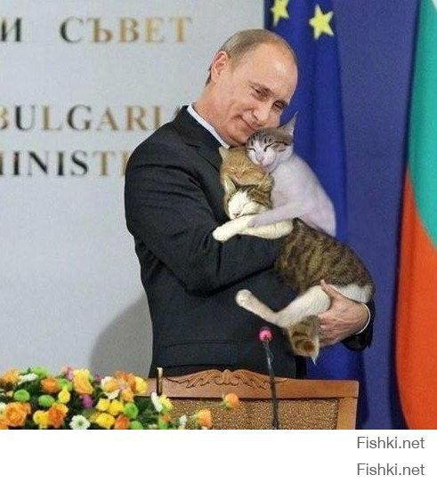 Путин присматривает за кошками,пока Миллер с Си Цзыньпином подписывает контракты!