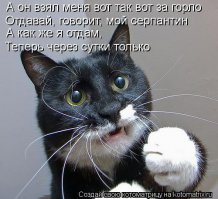 Котоматрицы  на Новый  год 