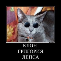 Плюшевая копия питомца