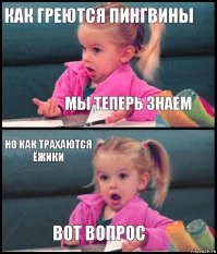 Как греются пингвины