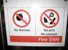 Штраф за пронос дуриана в некоторых отелях достигает стоимости недельного проживания в отеле! Отвратительный запах, прочно въевшийся в ковер, гардины и подушки, выветрится только лишь через неделю. Говорят, что дуриан в замороженням состоянии обладает нейтральным запахом.