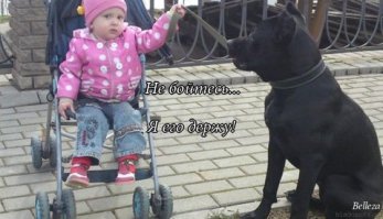 Просто навеяло темой:)